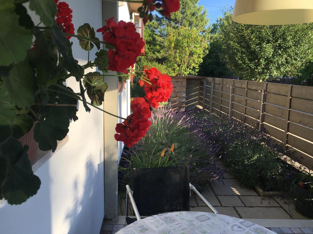Szelrozsa Apartmanhaz Velence Luaran gambar